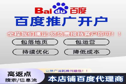 百度推广公司案例解析：如何利用百度推广实现快速转化